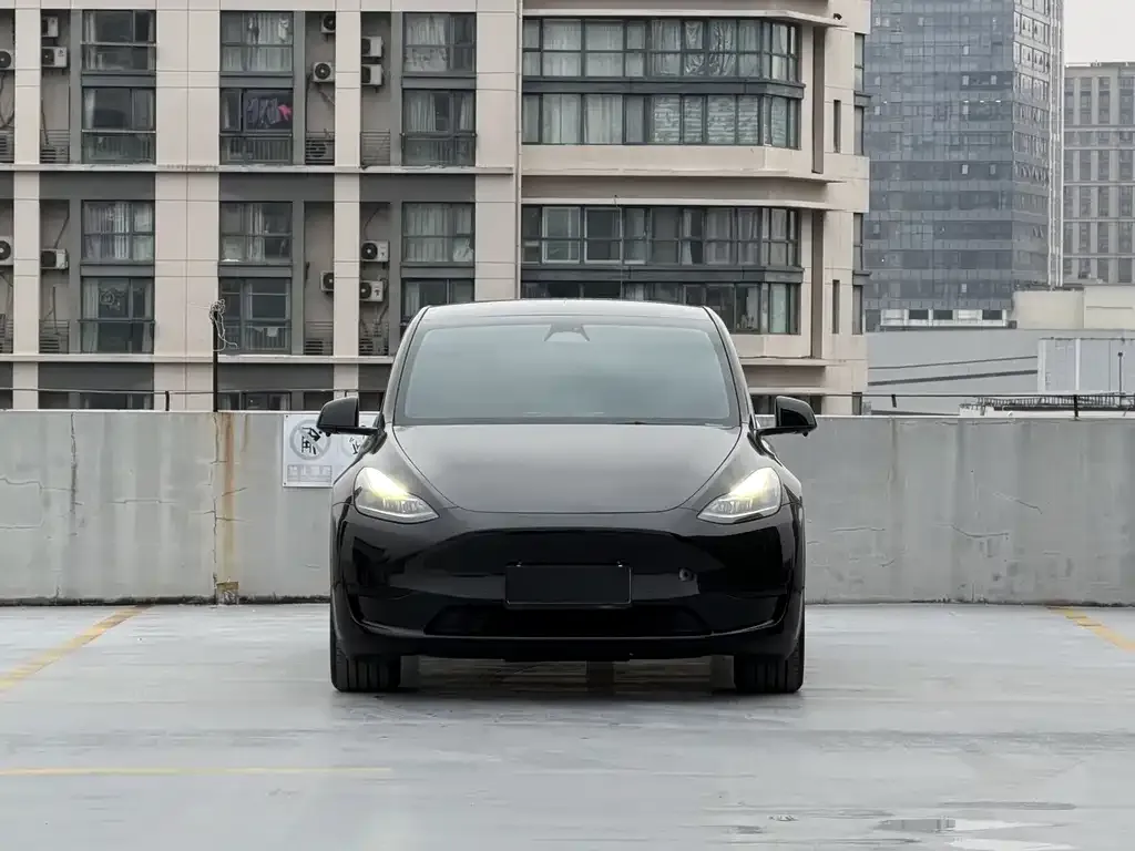 Tesla Model Y 2023 из CN, фото 7