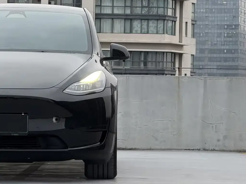 Tesla Model Y 2023 из CN, фото 4