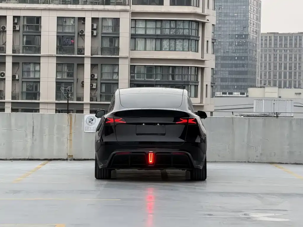 Tesla Model Y 2023 из CN, фото 5