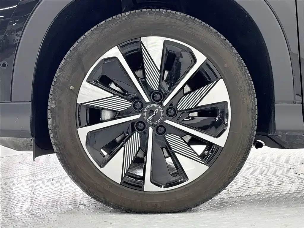 BYD PLUS New Energy 2025 из CN, фото 5