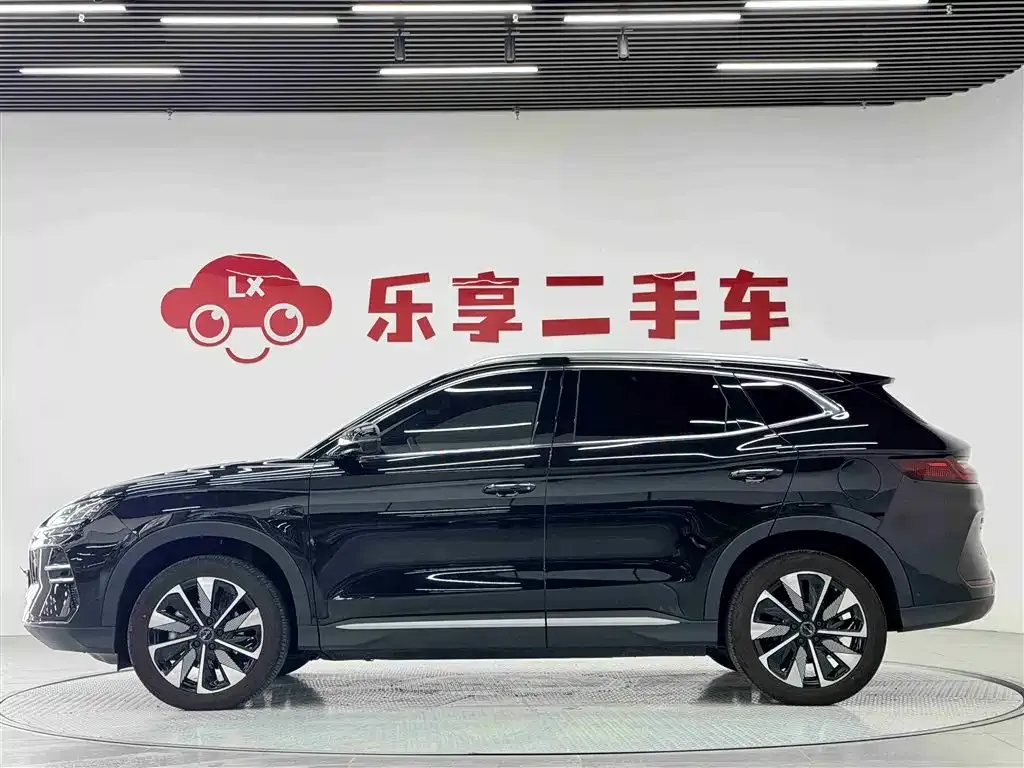 BYD PLUS New Energy 2025 из CN, фото 3
