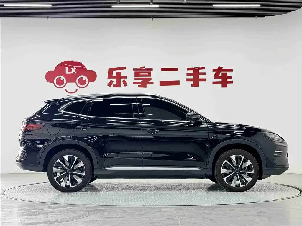 BYD PLUS New Energy 2025 из CN, фото 2