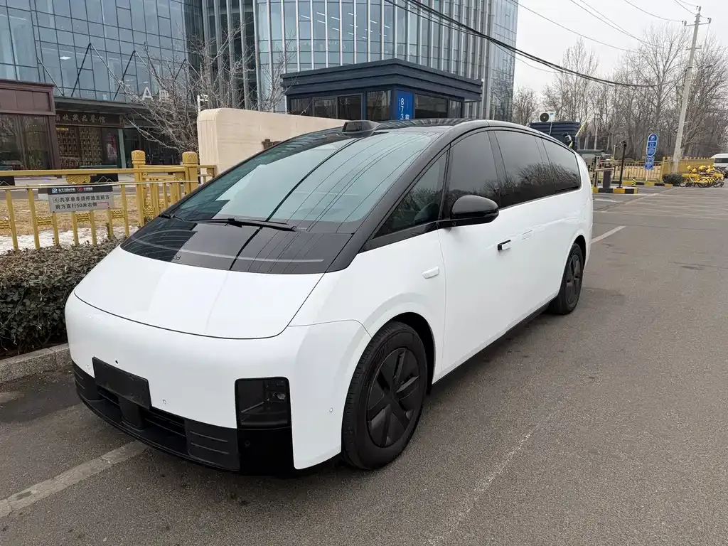Li Auto MEGA 2025 из CN, фото 1