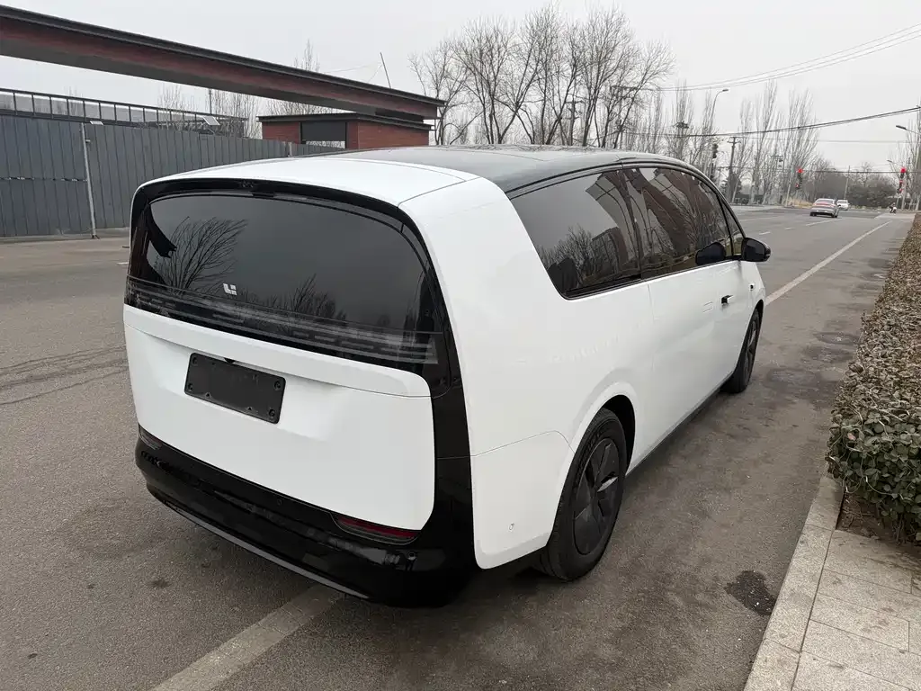 Li Auto MEGA 2025 из CN, фото 6