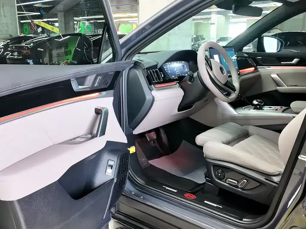 BYD Tang New Energy 2024 из CN, фото 10
