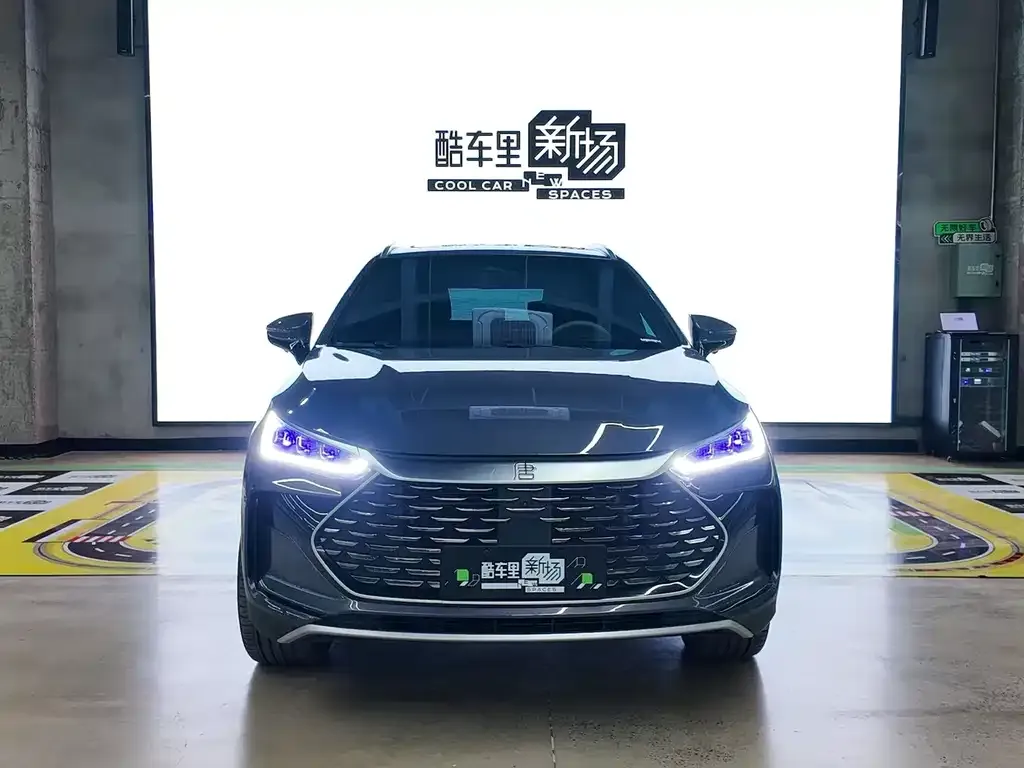 BYD Tang New Energy 2024 из CN, фото 4