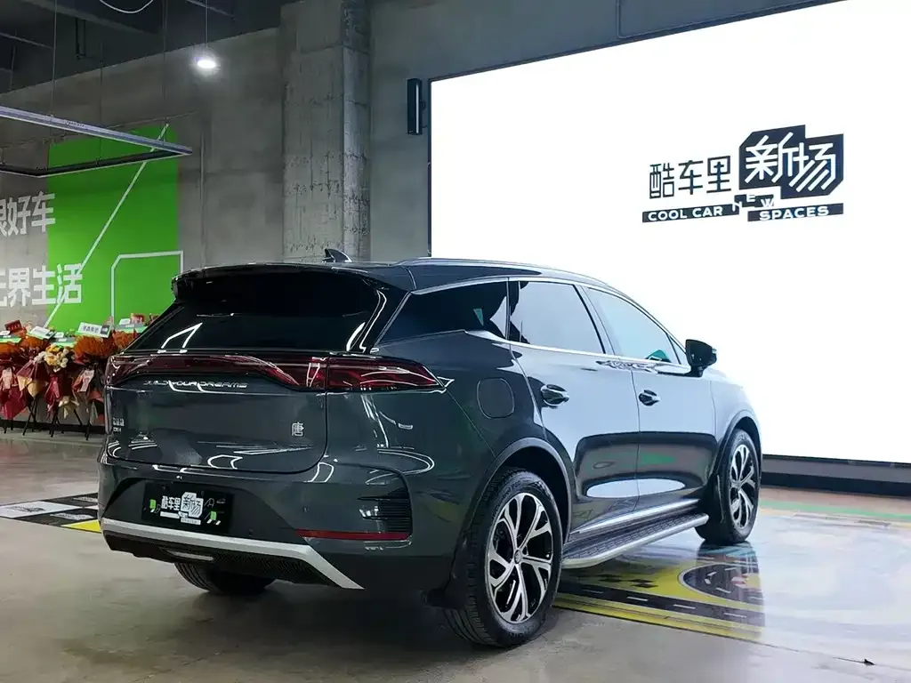 BYD Tang New Energy 2024 из CN, фото 9