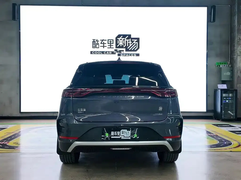 BYD Tang New Energy 2024 из CN, фото 2