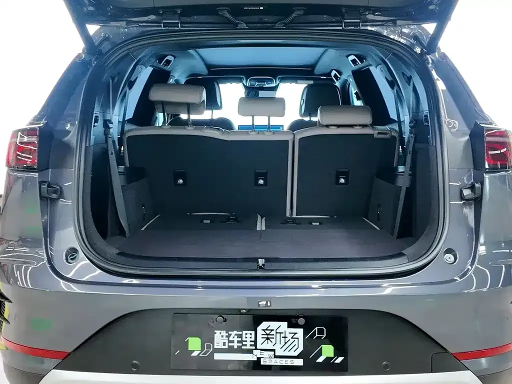 BYD Tang New Energy 2024 из CN, фото 5