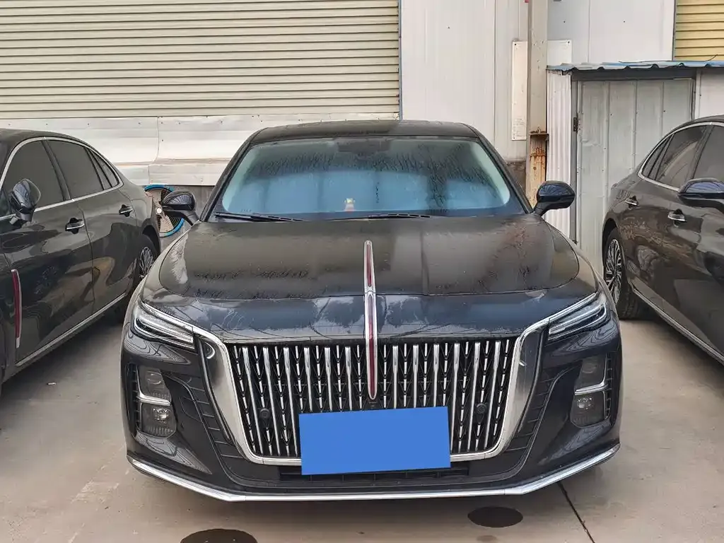 Hongqi H5 2025 из CN, фото 4