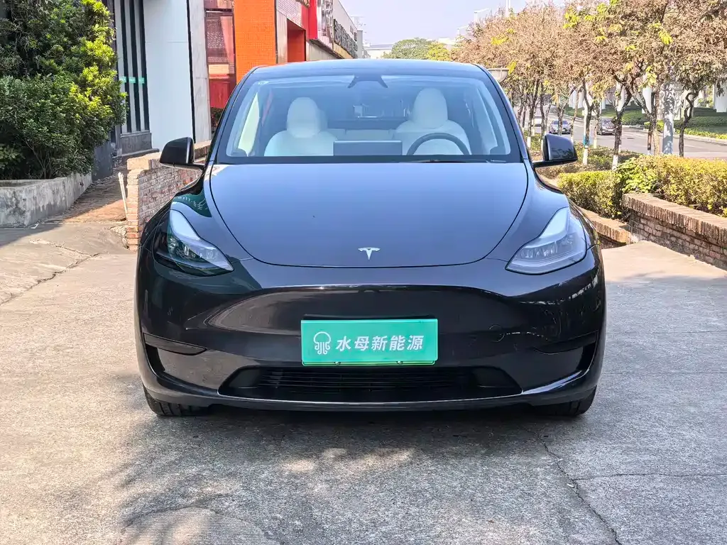 Tesla Model Y — фото 9