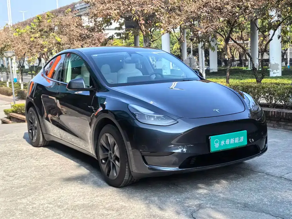 Tesla Model Y — фото 6