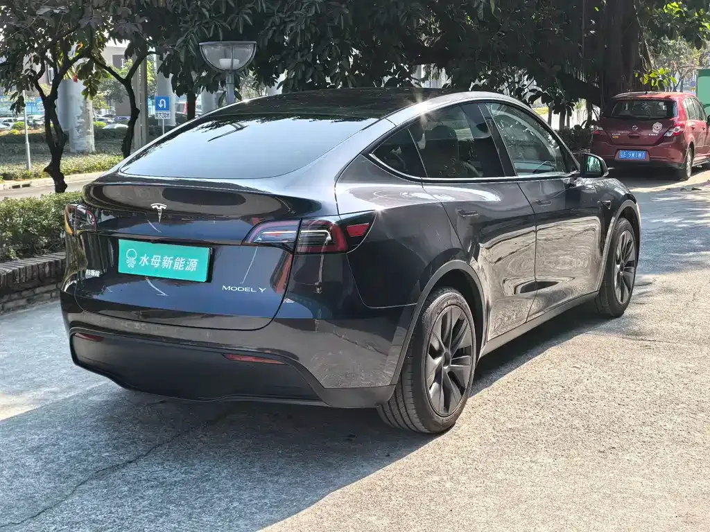 Tesla Model Y — фото 8