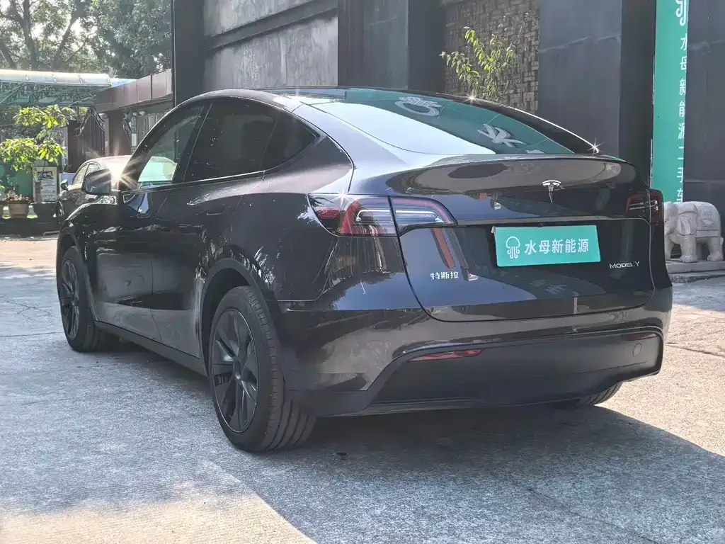 Tesla Model Y — фото 7