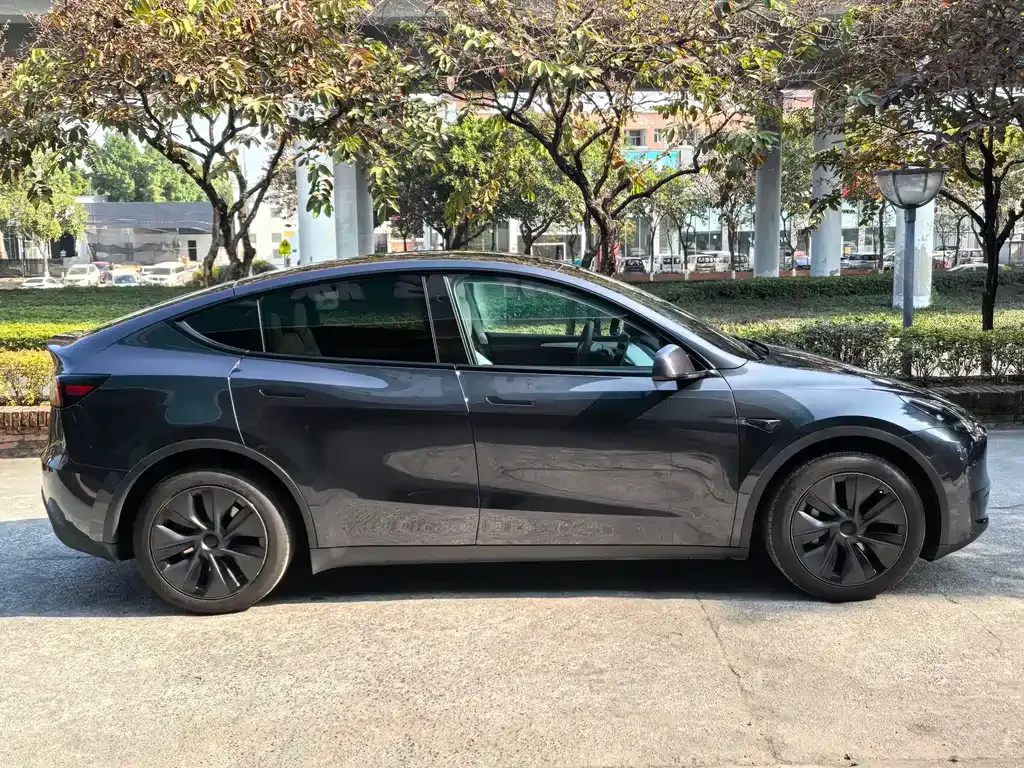 Tesla Model Y — фото 10
