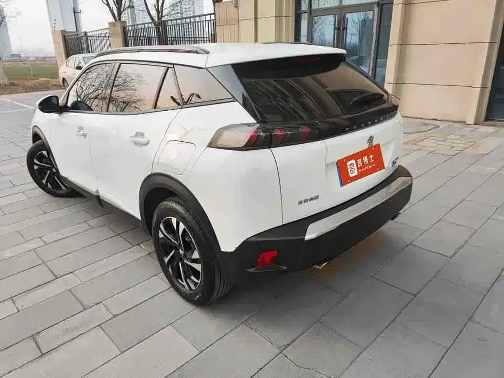 Peugeot 2008 2022 из CN, фото 9