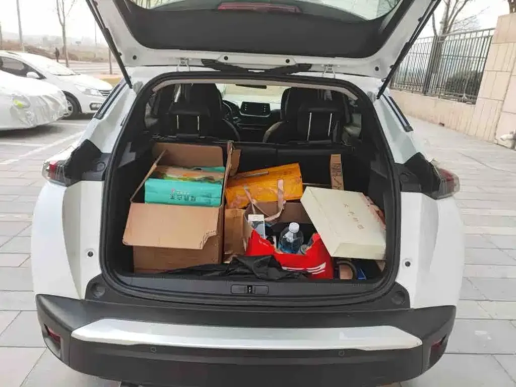 Peugeot 2008 2022 из CN, фото 6