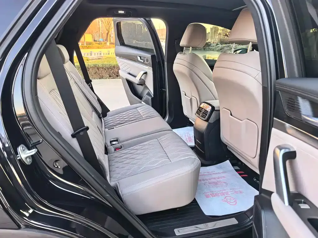BYD Tang New Energy 2025 из CN, фото 10