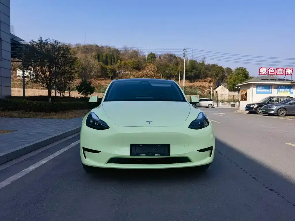Tesla Model Y 2022 из CN, фото 1