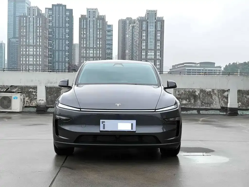Tesla Model Y 2025 из CN, фото 4