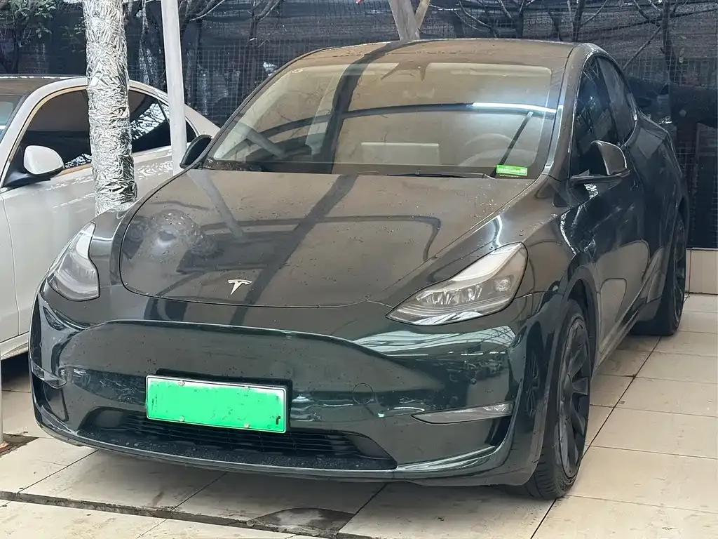 Tesla Model Y — фото 1