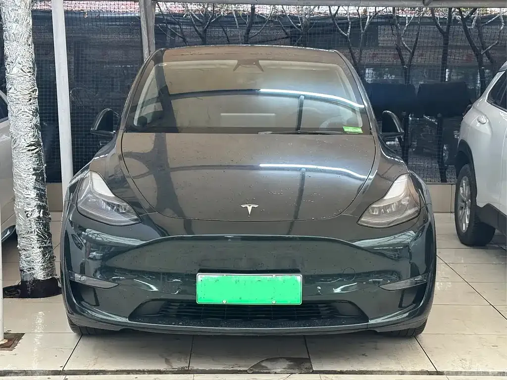 Tesla Model Y — фото 8