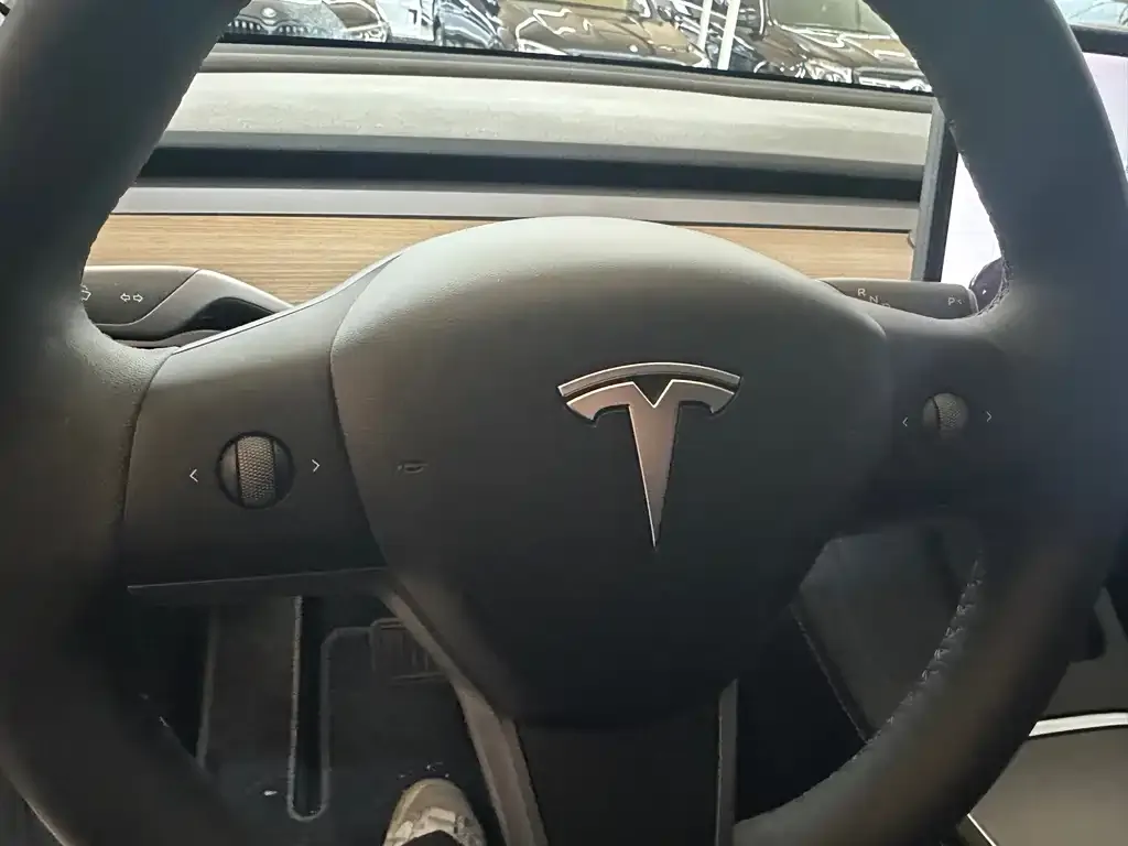 Tesla Model Y — фото 3