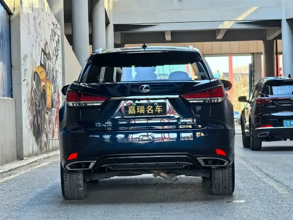 Lexus RX — фото 8