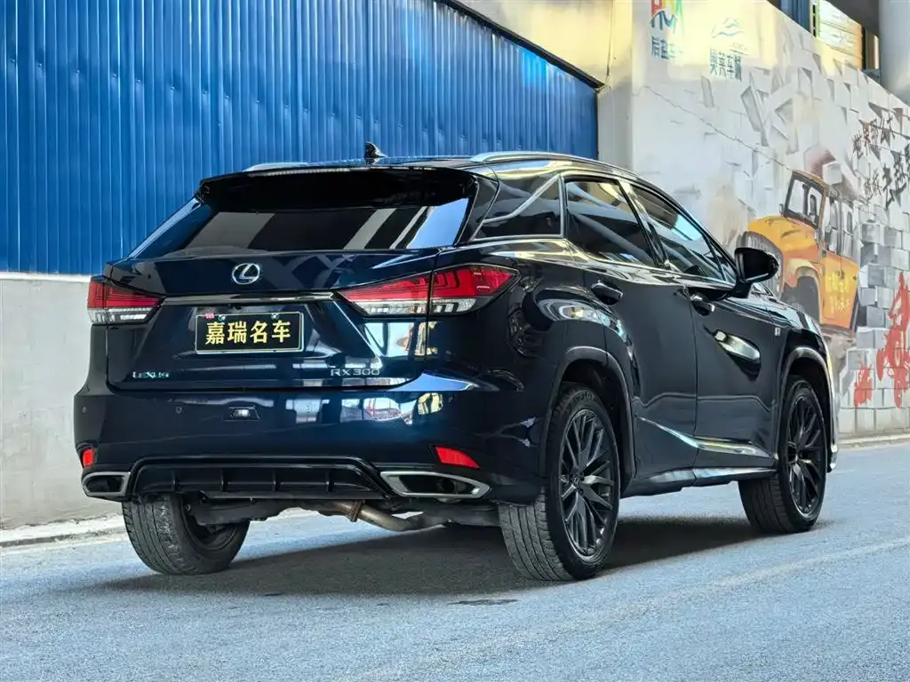 Lexus RX — фото 10