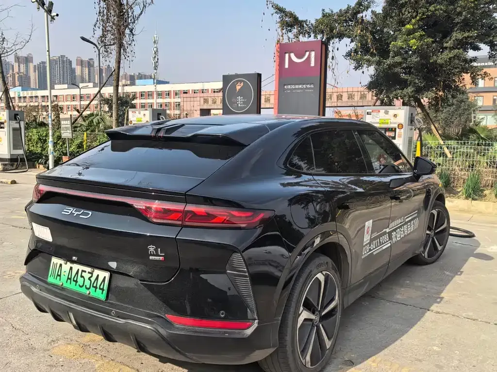 BYD L EV 2025 из CN, фото 2