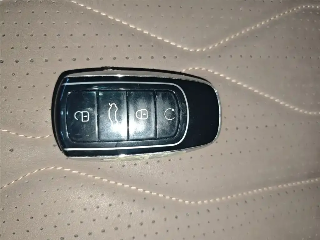 Chery Tiggo 8 PLUS C-DM 2024 из CN, фото 10