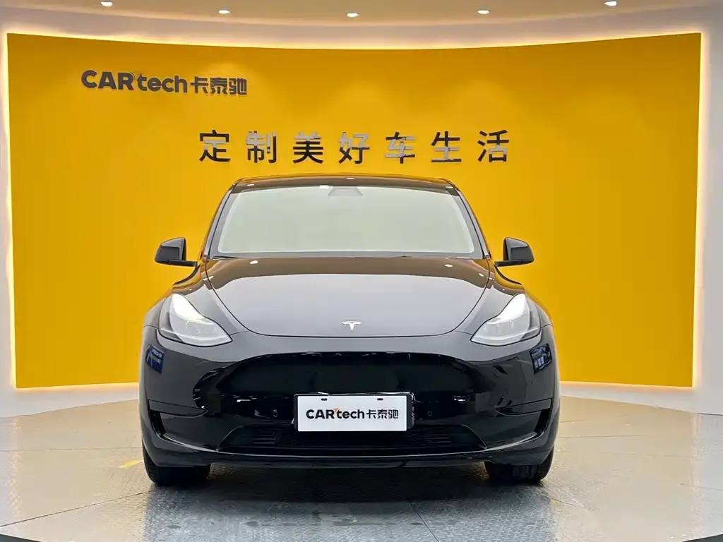 Tesla Model Y — фото 9