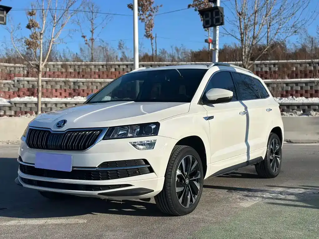 Skoda Karoq 2021 из CN, фото 1