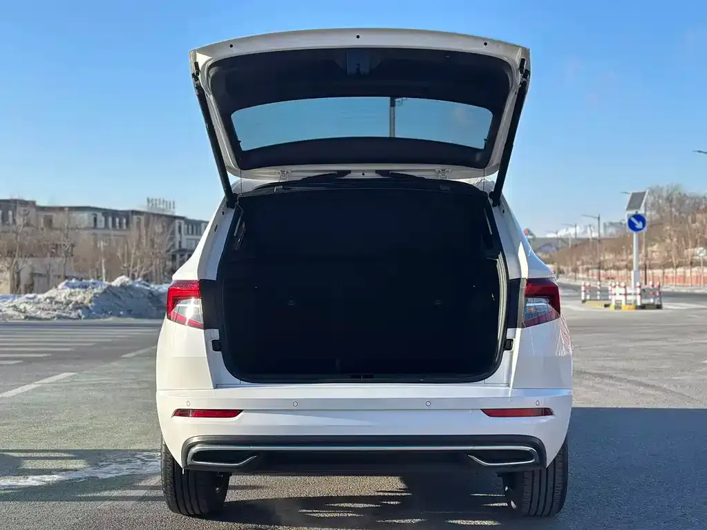 Skoda Karoq 2021 из CN, фото 3