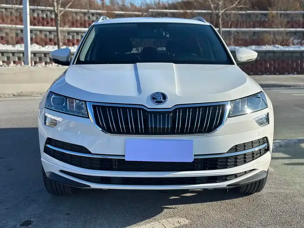 Skoda Karoq 2021 из CN, фото 4