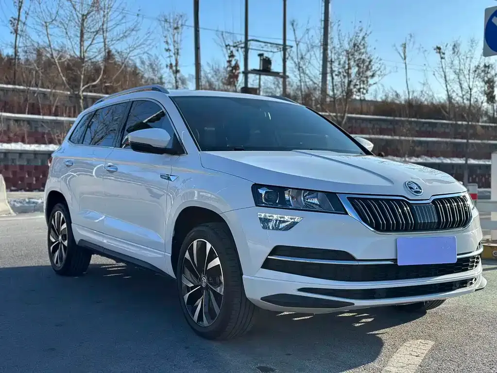 Skoda Karoq 2021 из CN, фото 9