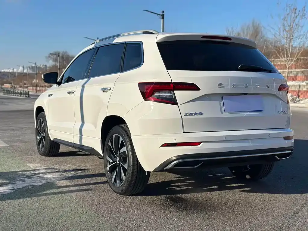 Skoda Karoq 2021 из CN, фото 6