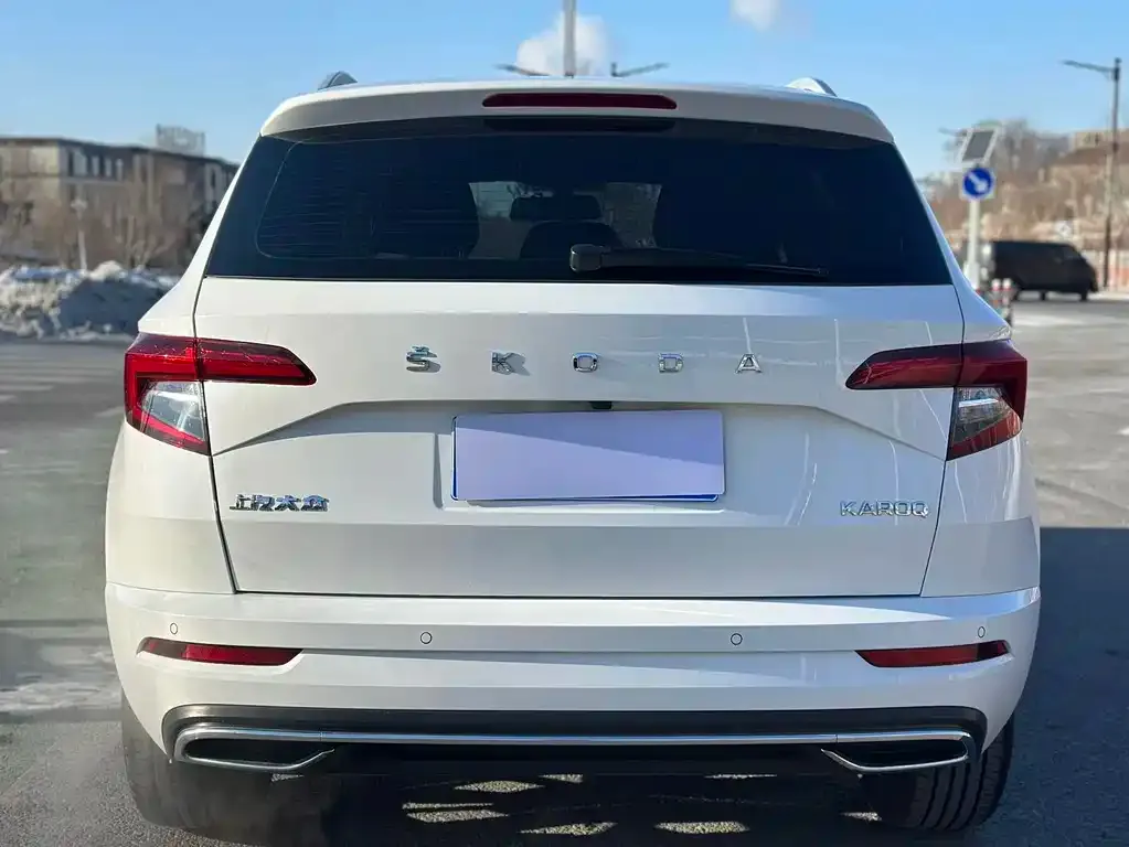 Skoda Karoq 2021 из CN, фото 10