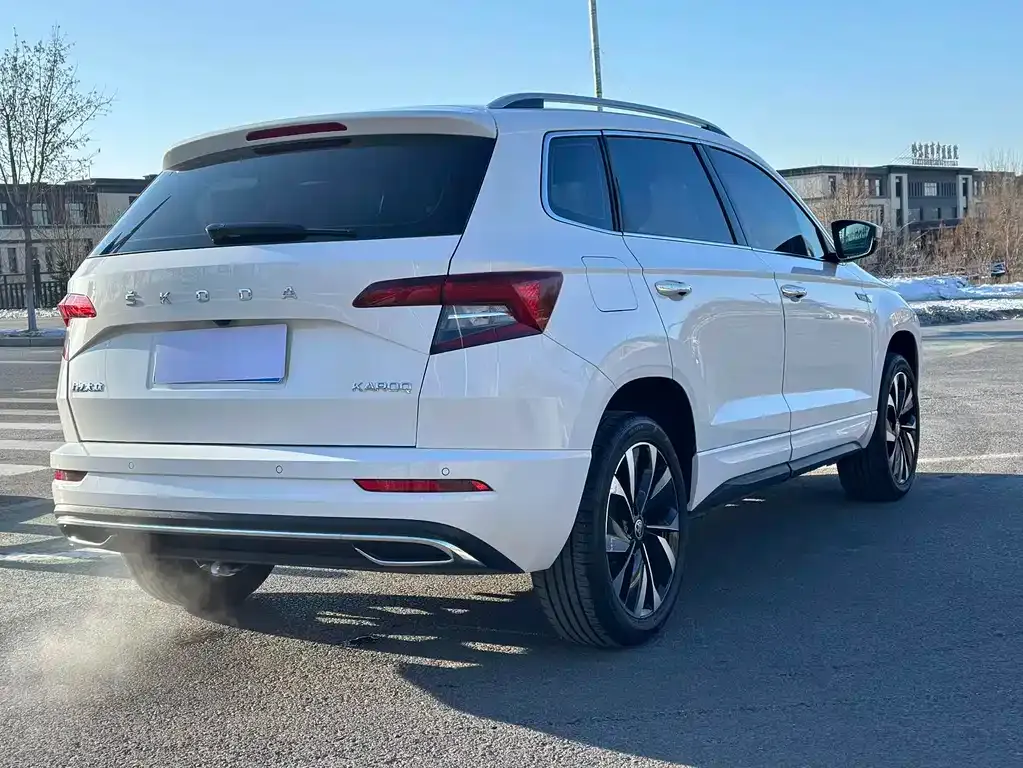 Skoda Karoq 2021 из CN, фото 5