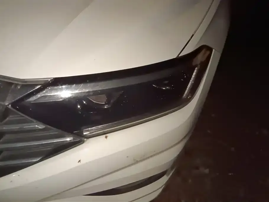 Volkswagen Sagitar 2021 из CN, фото 3