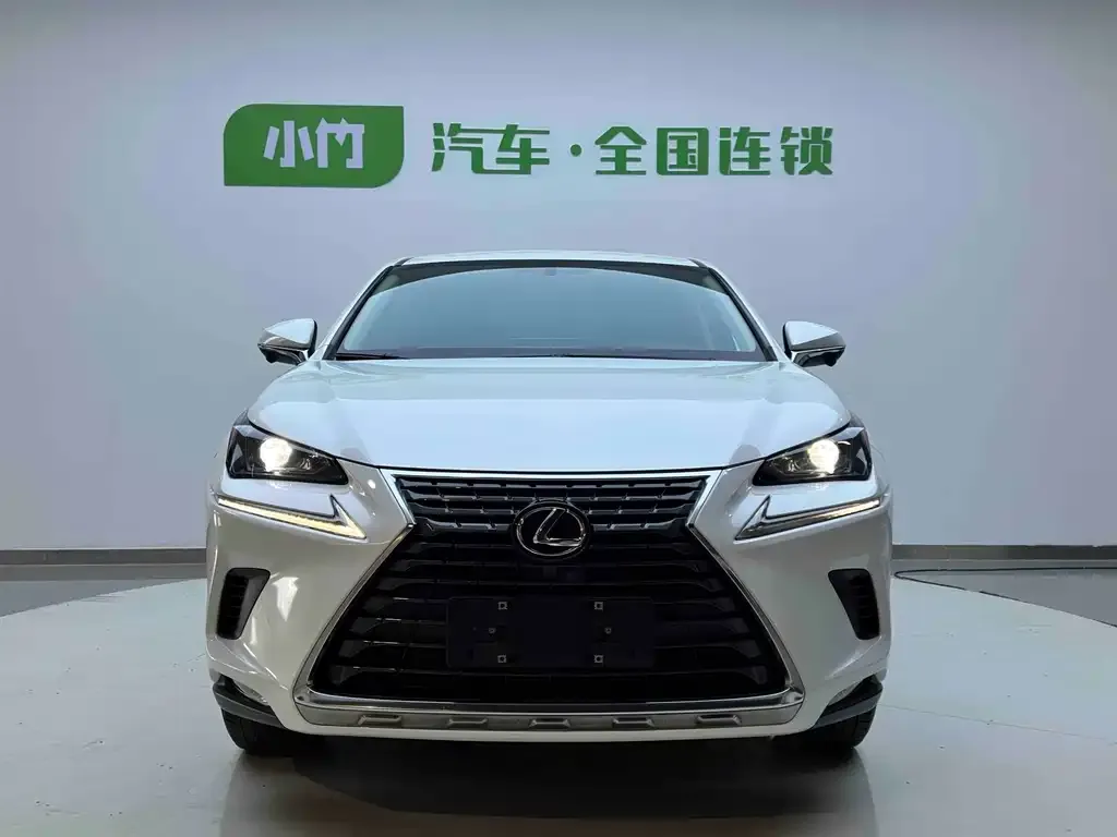 Lexus NX 2021 из CN, фото 4