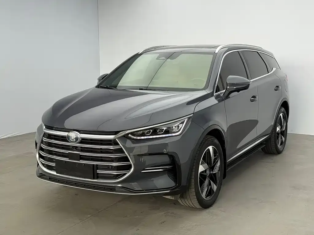 BYD PLUS New Energy — фото 1