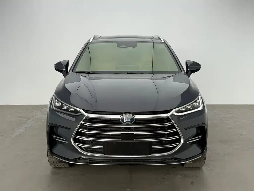 BYD PLUS New Energy — фото 6