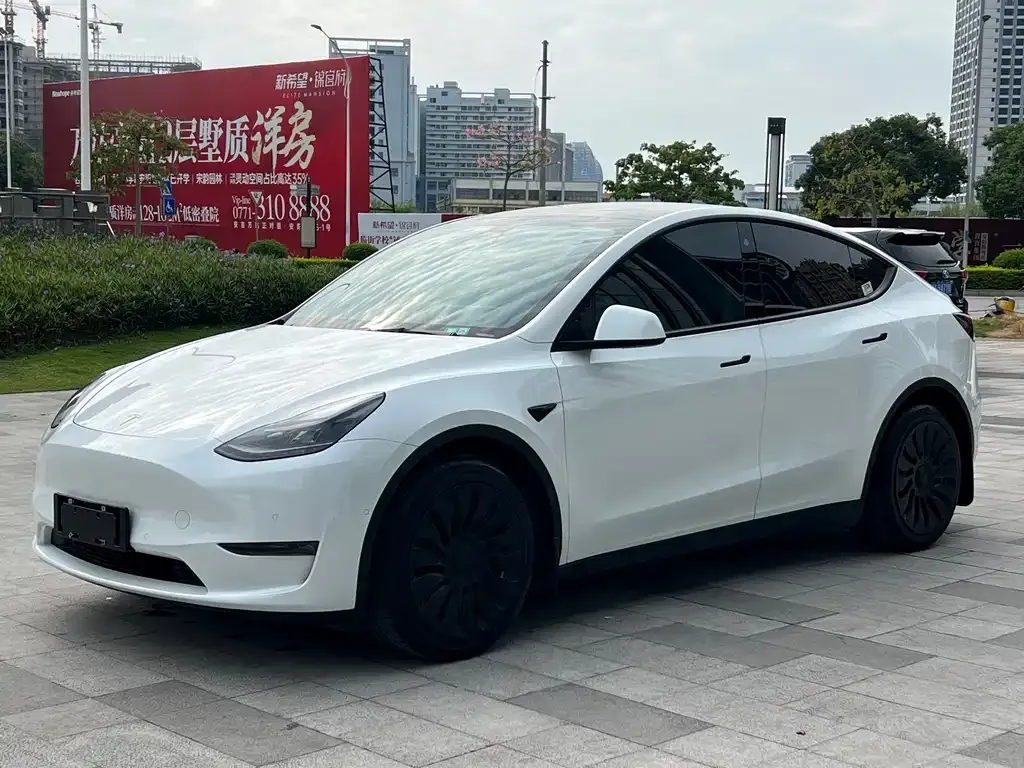 Tesla Model Y 2022 из CN, фото 1