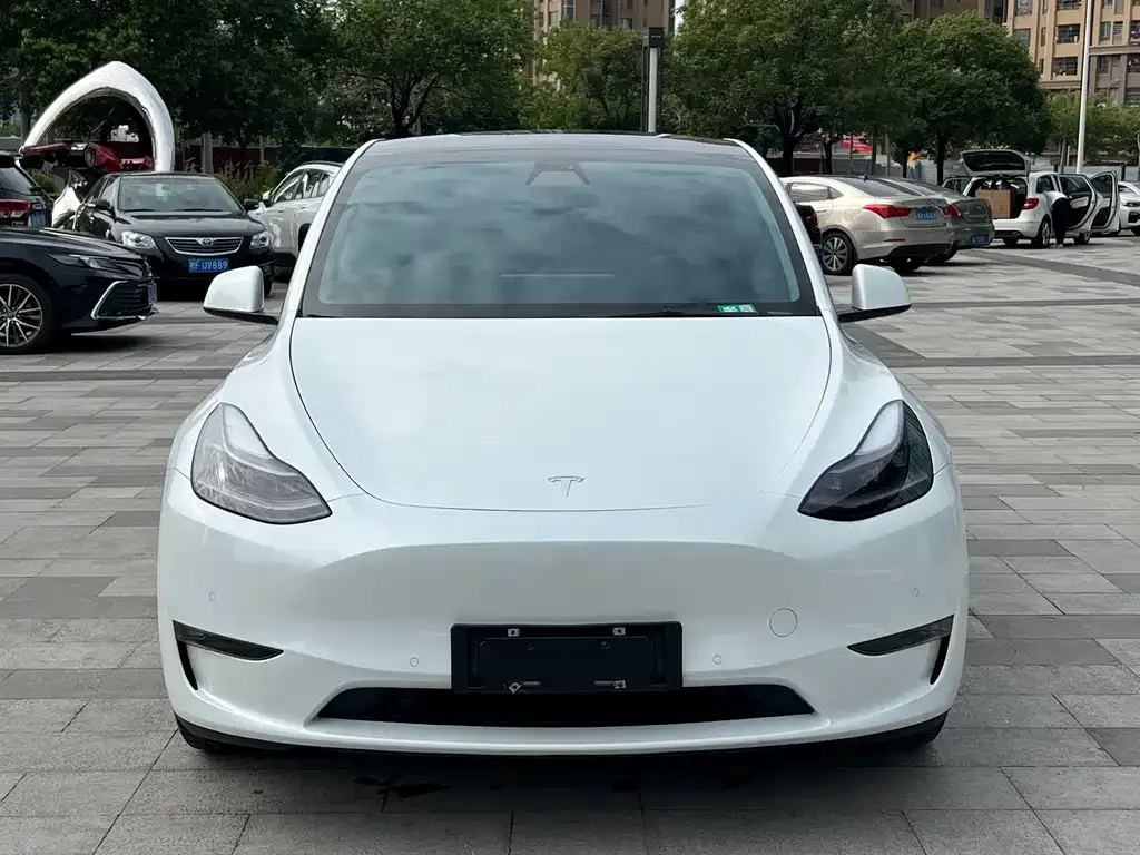Tesla Model Y 2022 из CN, фото 3