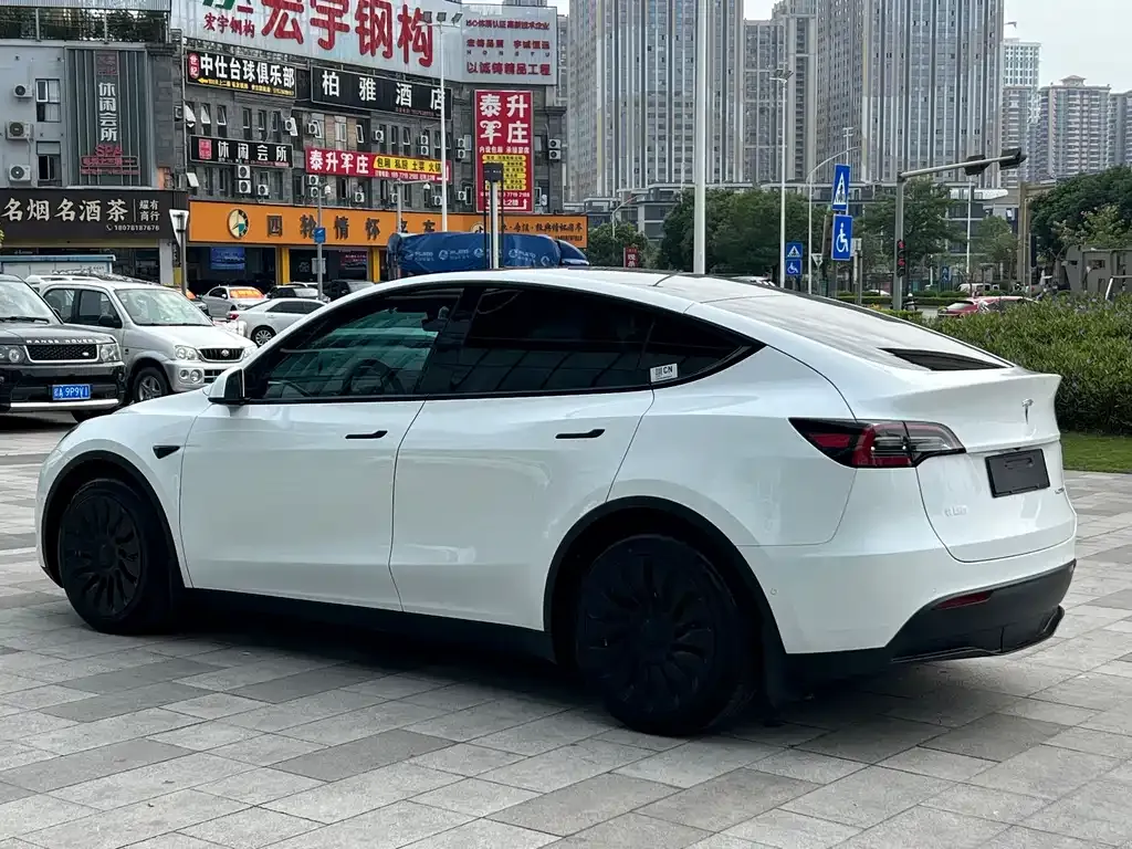 Tesla Model Y 2022 из CN, фото 4