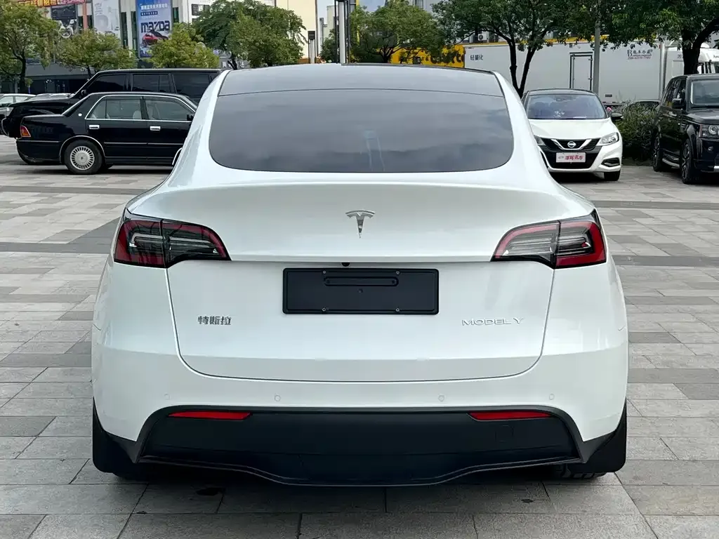 Tesla Model Y 2022 из CN, фото 10