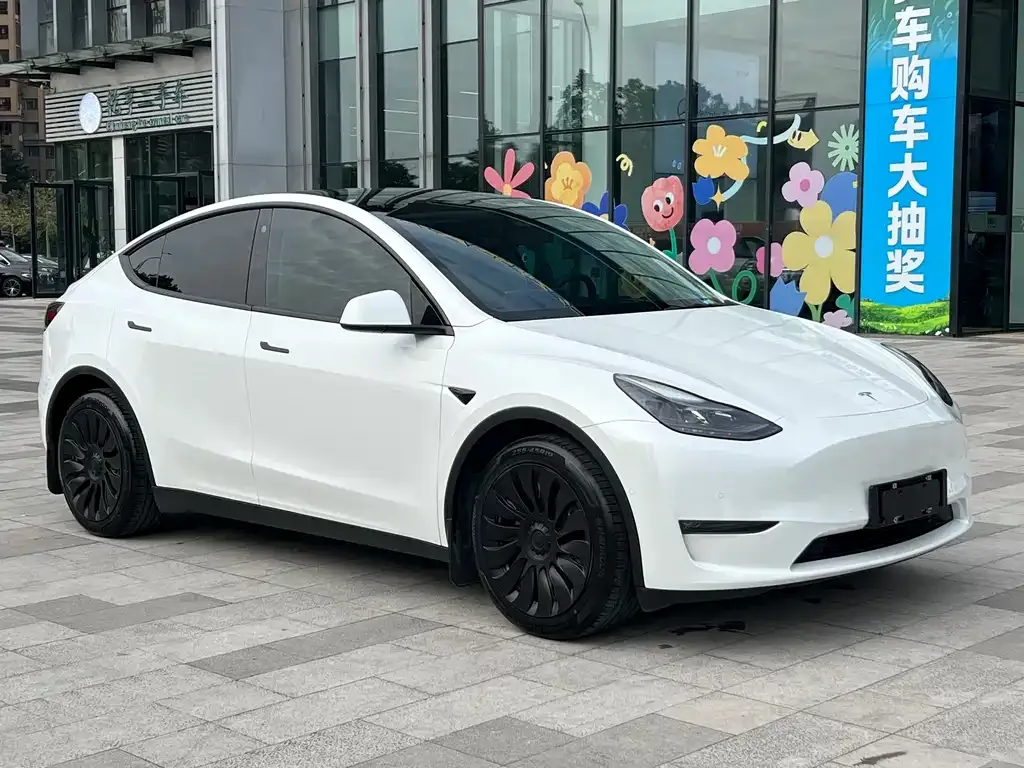 Tesla Model Y 2022 из CN, фото 7