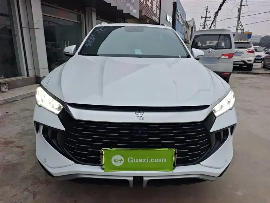 BYD Pro New Energy 2025 из CN, фото 2