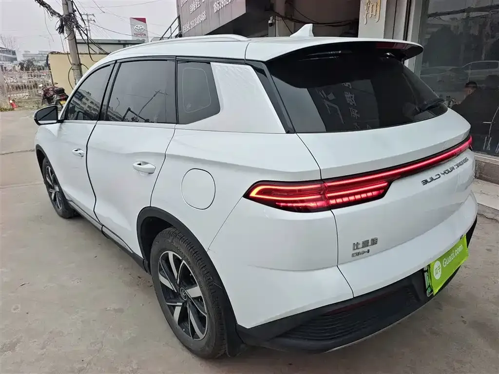 BYD Pro New Energy 2025 из CN, фото 3
